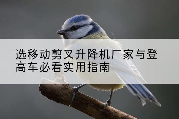 清丰电动升降机厂家-选移动剪叉升降机厂家与登高车必看实用指南