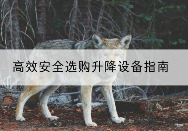 清丰升降货梯厂家推荐-*安全选购升降设备指南