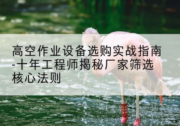 清丰剪叉式升降机厂家-高空作业设备选购实战指南-十年工程师揭秘厂家筛选核心法则
